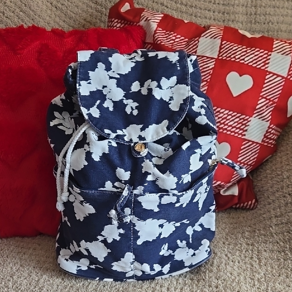 Lands End Back Pack - image 1